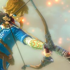 The Legend of Zelda Breath of the Wild Archer
