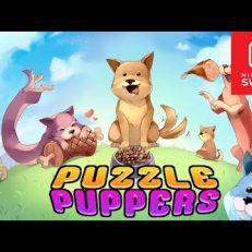 Puzzle Puppers Switch